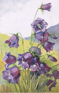 Flor azul, Postal, 1940s