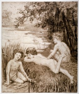 Pato salvaje, 1913