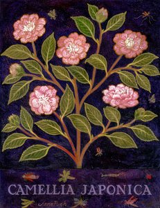  de Anna Pugh