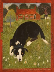 Perro Collie (acrílico)