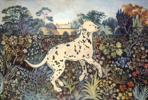 Sophie de Anna Pugh