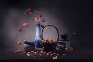  de Anna Qu