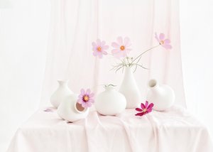  de Anna Qu