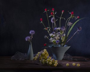  de Anna Qu