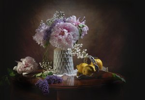 de Anna Qu