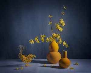  de Anna Qu