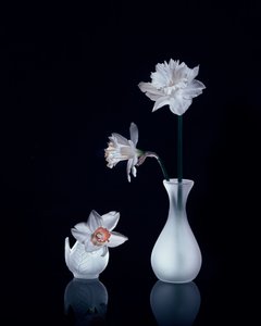  de Anna Qu