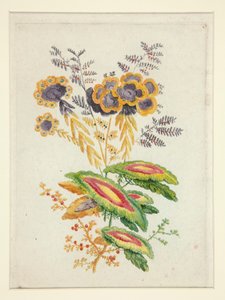 Flores Fantásticas, de Nueva Suite de Cuadernos de Flores Ideales para Uso de Diseñadores y Pintores de Anne Allen