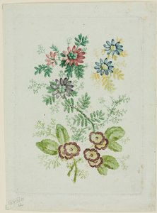 Flores de Anne Allen