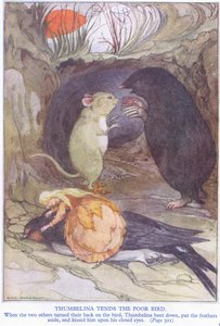 Pulgarcita cuida al pobre pájaro de Anne Anderson