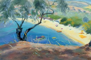 Bahía de Achladies, Skiathos, Grecia de Anne Durham