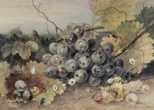 Uvas y fresas