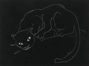 Serie Nocturna: El Gato