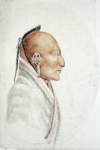 Cachasunghia, jefe de los Pequeños Osage de Anne Marguerite Hyde de Neuville