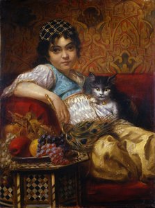 El gato