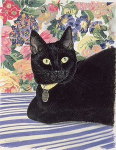 Gato Negro de Anne Robinson