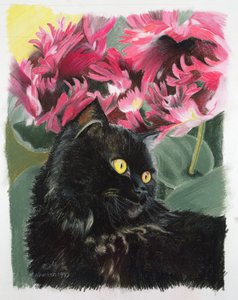 Tulipanes negros de Anne Robinson