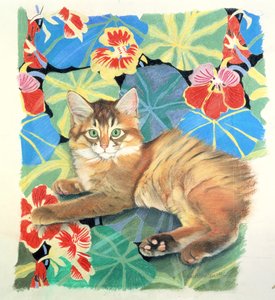 Sootsy y Tela de Dufy de Anne Robinson