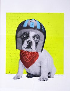 Easy Rider, 2016