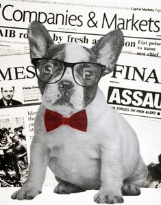 Perro de Wall Street