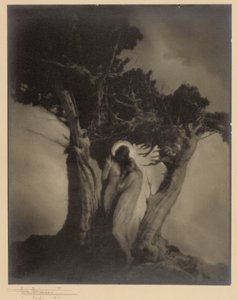 El corazón de la tormenta de Anne W. Brigman