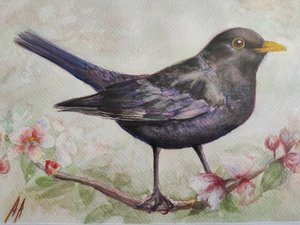 El mirlo y las flores de cerezo de Annette Armitage