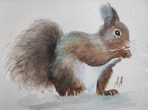 Una encantadora ardilla roja de Annette Armitage