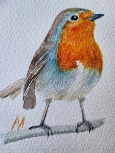 Un encantador petirrojo pintado en acuarela de Annette Armitage