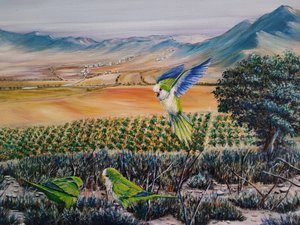 Loro verde volador de Annette Armitage