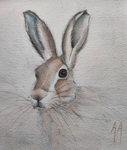 Retrato de una liebre apacible de Annette Armitage