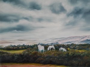 Los tranquilos ponis de los páramos de Annette Armitage