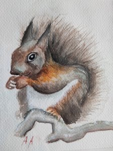 Ardilla del bosque en acuarela de Annette Armitage