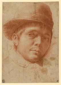  de Annibale Carracci