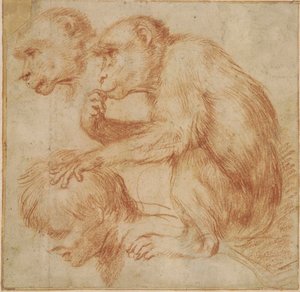 Carracci - Un mono sobre los hombros de un hombre de perfil a la izquierda y un estudio de su cara, estudio para un cuadro Tiza roja, Ff,2.115