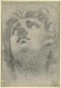 Avistamiento de la cabeza de un tritón de Annibale Carracci