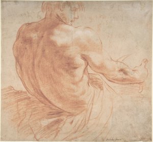 Joven sentado de cara a la derecha, visto de espaldas de Annibale Carracci