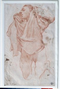 Joven quitándose la camisa. Dibujo a la sanguina de Annibale Carracci, llamado el Carrache de Annibale Carracci