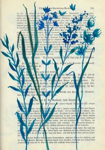 Flores azules: texto antiguo de Annick