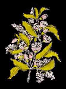 Flores botánicas sobre fondo negro