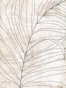 Líneas botánicas minimalistas de Annick