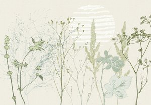 Amanecer botánico en tonos apagados de Annick