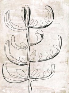 Boceto botánico orgánico de Annick