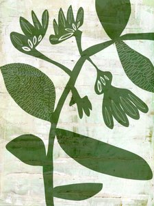 Productos botánicos ecológicos