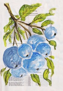 Arándanos pintados sobre papel