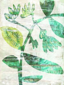 Plantas verdes con textura