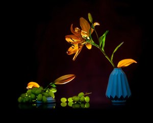 Naturaleza muerta con lirios de colores vivos de Annie Poreider