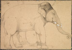 Dibujo de un elefante