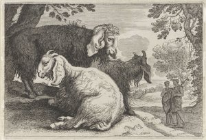 Ovejas de angora Paisajes con animales (serie A) (título de la serie) de Anonymous