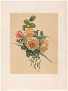 Manojo de rosas y violetas de Anonymous