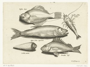 Platija, camarón, eperlano y pos
Libelivs varia Genera piscium complectens (título de la serie)
Peces de agua dulce, peces de mar, ranas, crustáceos y criaturas marinas (título de la serie) de Anonymous